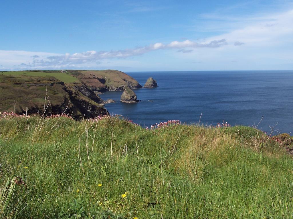 The Old Parsonage Bed & Breakfast Boscastle Exterior photo