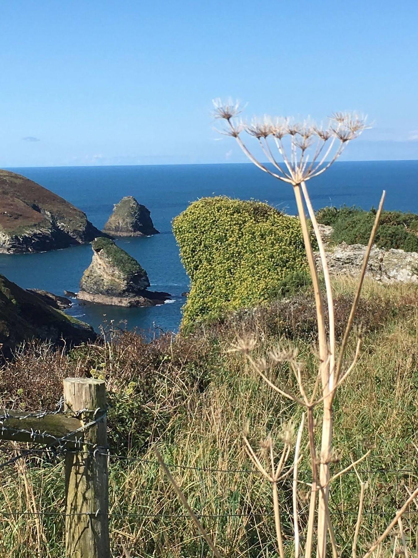 The Old Parsonage Bed & Breakfast Boscastle Exterior photo